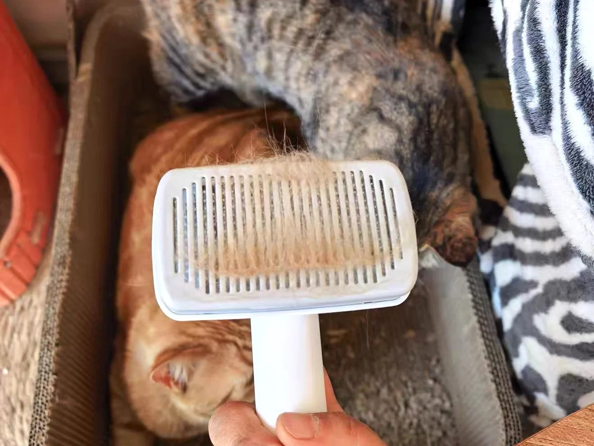 Nuvipet brush holding loose fur after grooming cats